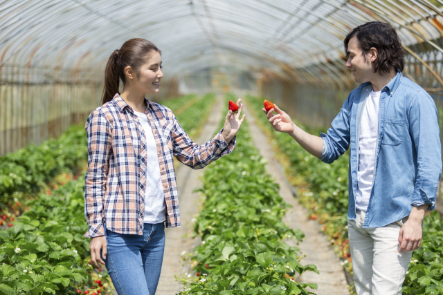 ツアーの見どころのイメージ画像