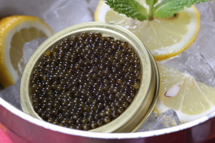 パーティの特徴のイメージ画像