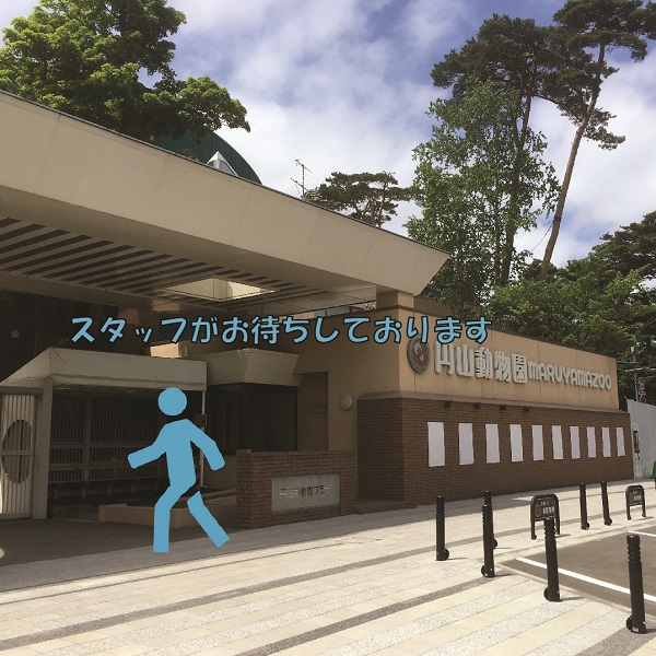円山動物園のイメージ画像