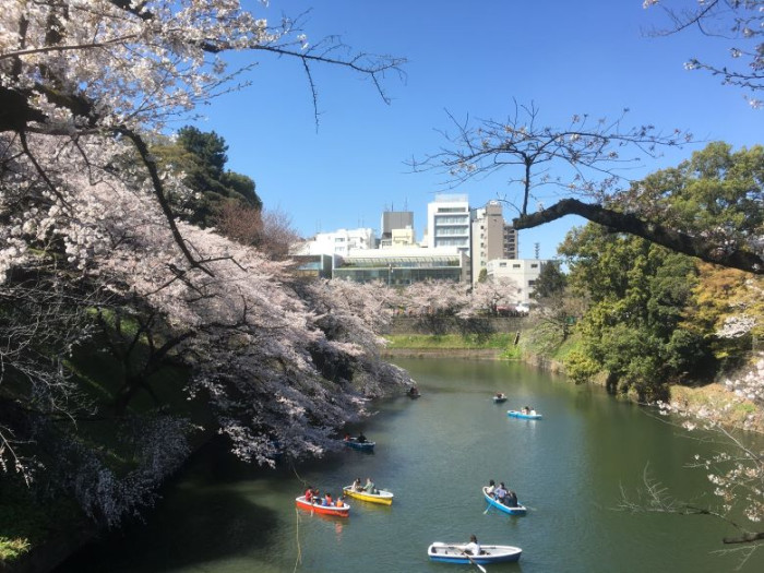 靖国神社→東京大神パワースポット巡りのイメージ画像