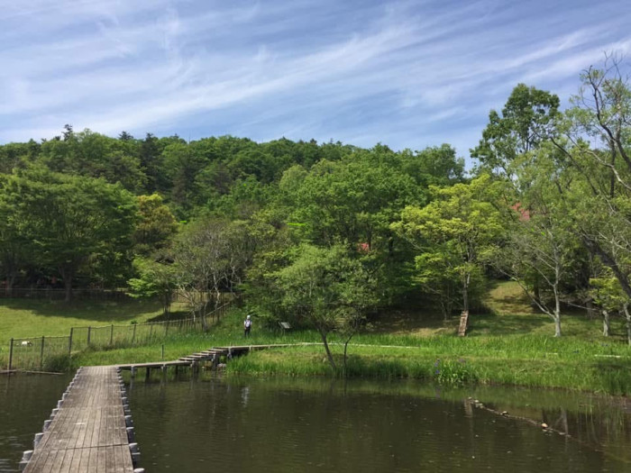 自然の中での婚活パーティ＆トレッキング。　「コントレ」でココロも身体も解放されてお話しも弾みますよ～♪のイメージ画像