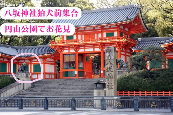 桜お花見コンパのイメージ画像