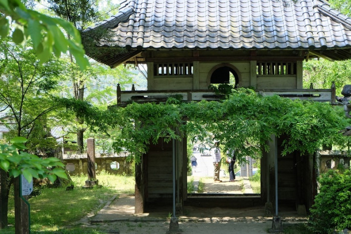 ツアーの見どころのイメージ画像