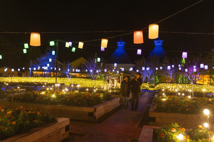 なばなの里のイメージ画像