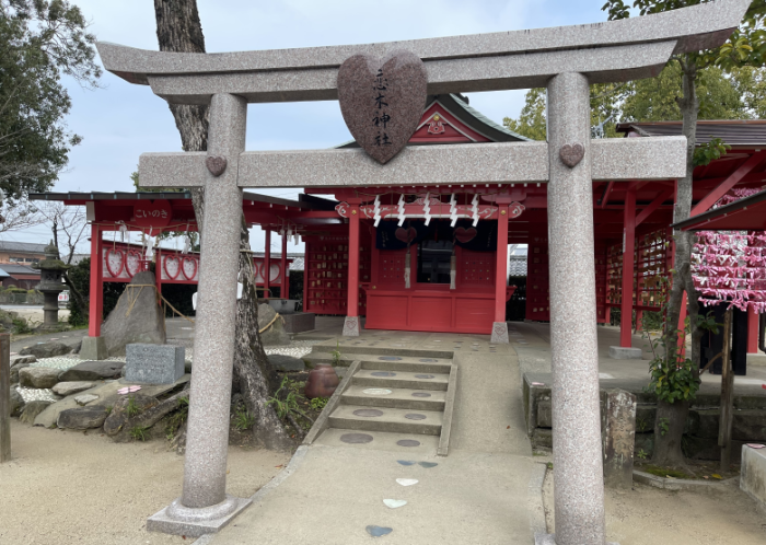 ツアーの見どころのイメージ画像