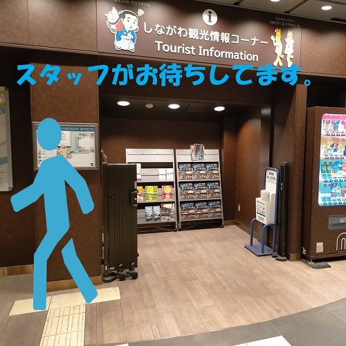 大井競馬場のイメージ画像