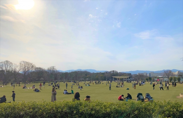 詳細はこちらのイメージ画像