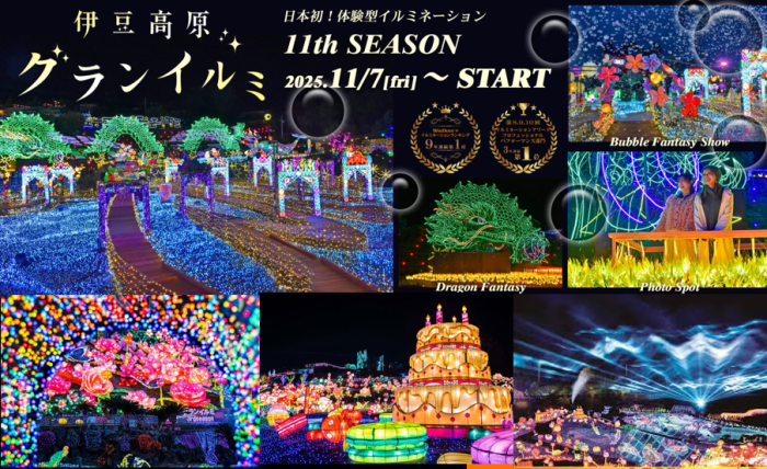 グランイルミのイメージ画像