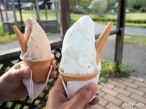 秋だ！びわ湖だ！メタセイヤ並木だ！！のイメージ画像