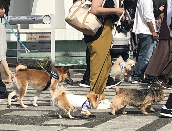 【イベント集合場所】のイメージ画像