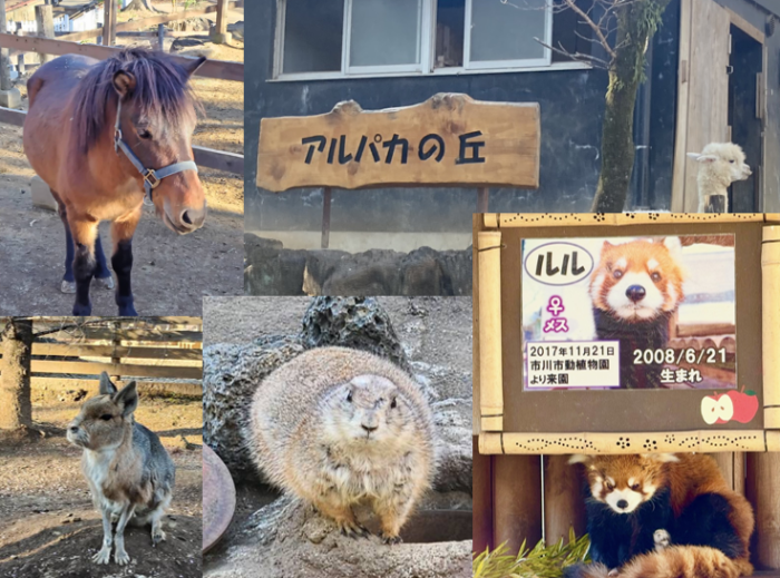 楽寿園の集合場所のイメージ画像