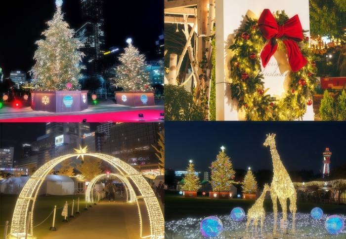 詳細はこちらのイメージ画像