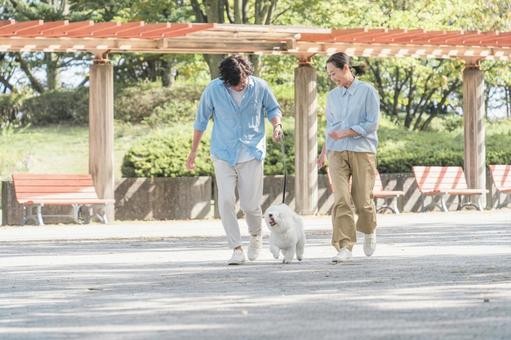 イベント内容のイメージ画像