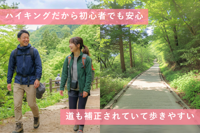 高尾山企画が大人気な秘訣✨️のイメージ画像